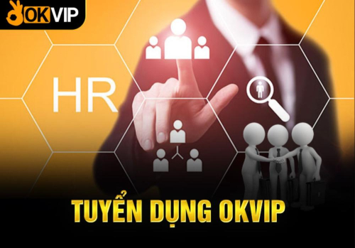 OKVIP Tuyển Dụng Nhân Viên Hậu Đài Tại Campuchia: Mức Lương Hấp Dẫn Đến 26 Triệu Đồng!