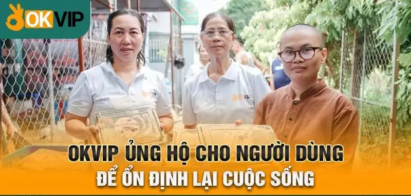 OKVIP Chung Tay Xoa Dịu Nỗi Đau Bão Lũ: 13,7 Tỷ Đồng Hướng Về Miền Bắc