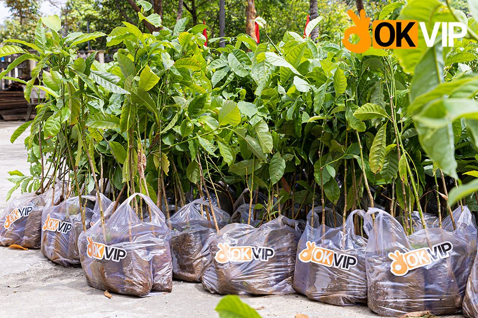 OKVIP Chung Tay Vì Cộng Đồng